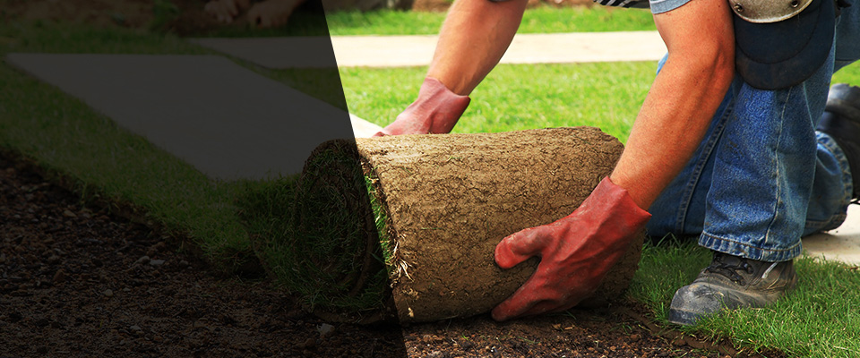 Fredericksburg Landscapers